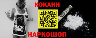 молекула духа Кингисепп