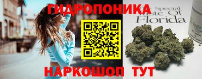 apvp Кимры