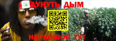 apvp Кимры