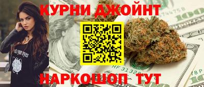 молекула духа Кингисепп