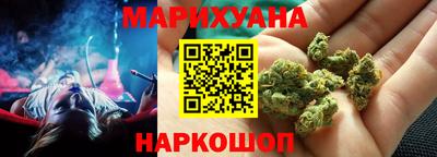 молекула духа Кингисепп