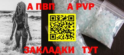 молекула духа Кингисепп