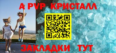 молекула духа Кингисепп