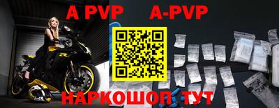 молекула духа Кингисепп
