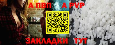 молекула духа Кингисепп