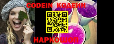 молекула духа Кингисепп